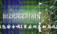 冷链钱包安全吗？背后的真相与风险解析