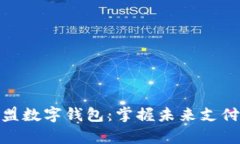 富强联盟数字钱包:掌握未来支付的关键