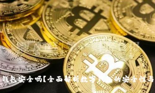 钱能钱包安全吗?全面解析数字钱包的安全性与风险