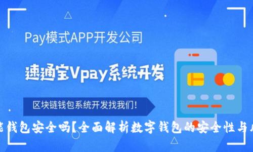 钱能钱包安全吗?全面解析数字钱包的安全性与风险