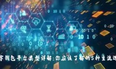 数字钱包平台类型详解：你应该了解的5种主流选