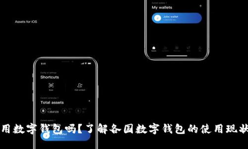 国外能用数字钱包吗？了解各国数字钱包的使用现状与趋势