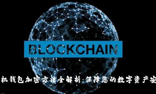 手机钱包加密方法全解析：保障您的数字资产安全