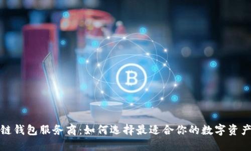 探索区块链钱包服务商：如何选择最适合你的数字资产管理工具