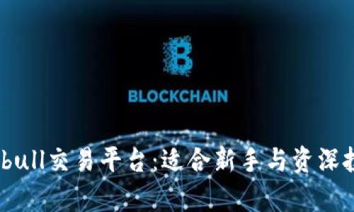深入解析Bitbull交易平台:适合新手与资深投资者的选择