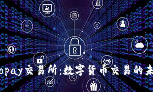 揭秘Topay交易所:数字货币交易的未来之路