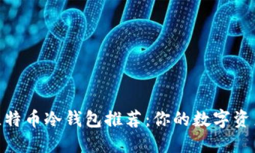 最专业的比特币冷钱包推荐:你的数字资产安全之选