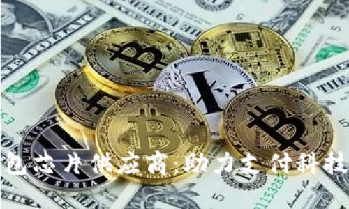 数字钱包芯片供应商：助力支付科技的未来