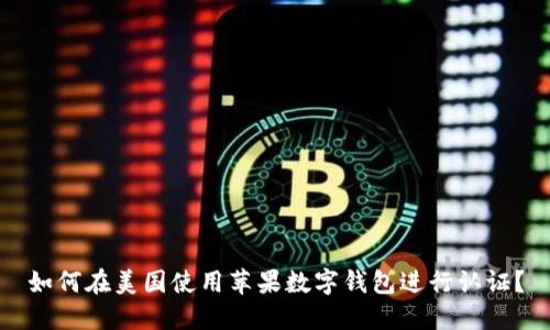如何在美国使用苹果数字钱包进行认证？
