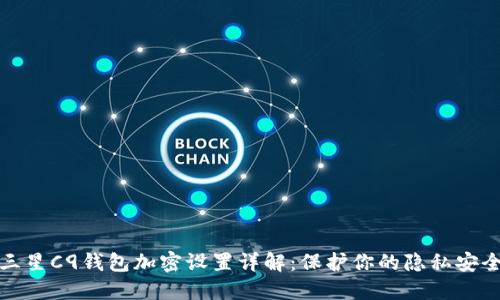 三星C9钱包加密设置详解：保护你的隐私安全
