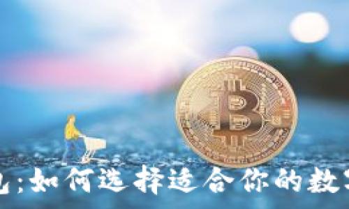   
冷钱包与热钱包：如何选择适合你的数字货币存储方式