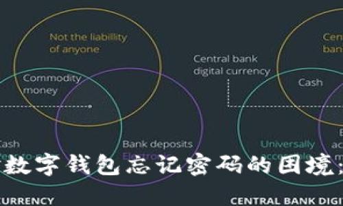 如何应对数字钱包忘记密码的困境:完整指南