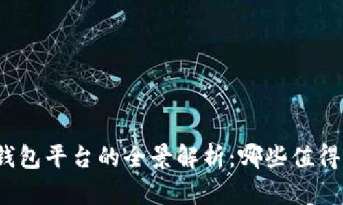 数字钱包平台的全景解析：哪些值得关注？