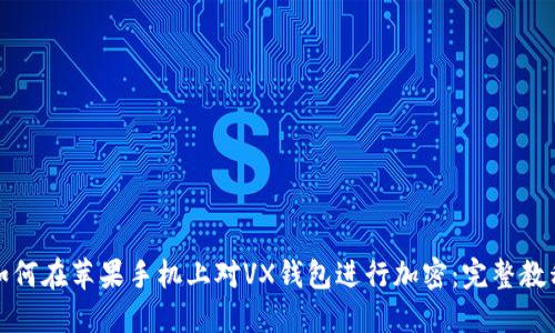 如何在苹果手机上对VX钱包进行加密：完整教程