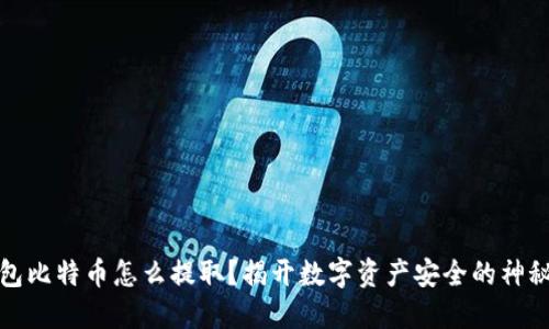 冷钱包比特币怎么提取？揭开数字资产安全的神秘面纱