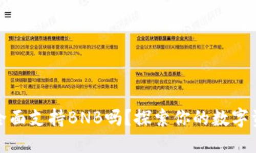 比特派钱包全面支持BNB吗？探索你的数字资产管理之路