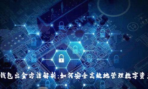 冷钱包出金方法解析:如何安全高效地管理数字资产?
